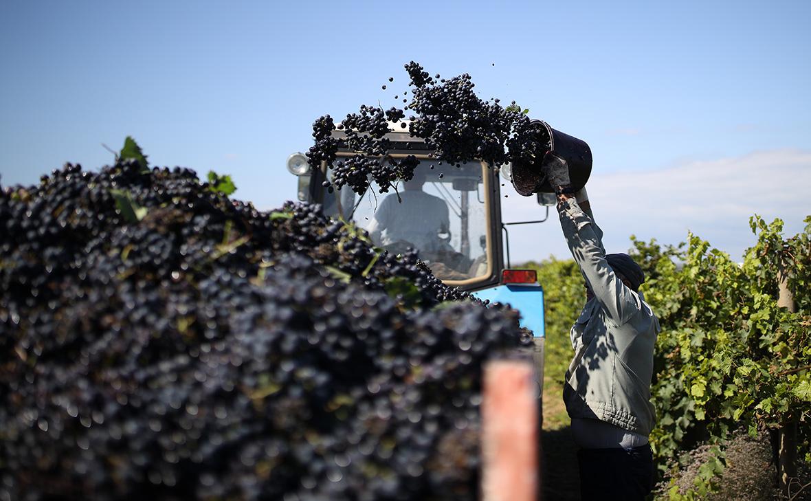 Генпрокуратура потребовала изъять крупнейшего производителя вина